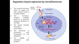 Gene Regulation in Eukaryotes made easy  Eukaryotic Gene Regulation  BSc Agriculture [upl. by Lodi]