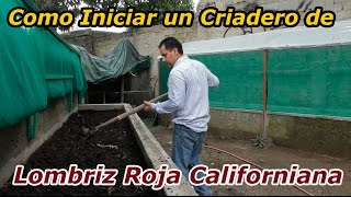 Como comenzar un Criadero de Lombriz Roja Californiana [upl. by Lizette196]