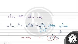 Acetamide is treated with the following reagents separately Which one of these would yield meth [upl. by Tamanaha]