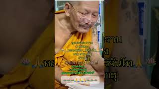 🪷🪷🙏🙏🙏🪷🪷 ทำบุญ หลวงปู่ศิลา กดติดตาม กดแชร์ กดไลค์ กดกระดิ่ง ทิพย์789 [upl. by Eico]