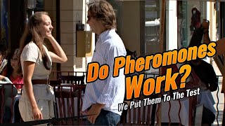 Do Pheromones Work [upl. by Daphne]