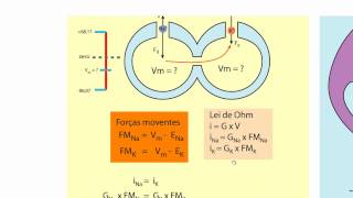 Biofísica de Membranas  Aula 18  Bioeletrogenese 3 [upl. by Aurore]