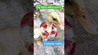 চিকু সাঁতার কাটতে যাবে 🦆😂  mini wood toywood working art skill  hand crafts  shorts comedy [upl. by Nogaem312]