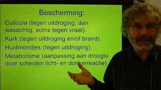 Biologie VWO BB Stevigheid en bescherming bij planten [upl. by Sirah]