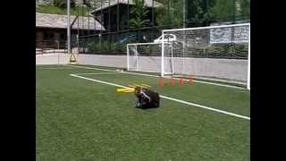 Allenamenti Portiere calcio  25 esercitazioni [upl. by Milissa]