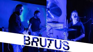 Brutus — A Forest The Cure cover  StuBru LIVE LIVE  Studio Brussel [upl. by Hsirehc557]