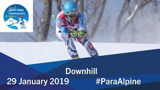 Downhill  2019 World Para Alpine Skiing World Championships [upl. by Elmina]