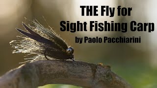 The Fly for sight fishing Carp  Paolo Pacchiarini [upl. by Rhyner294]