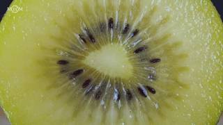 Satisfying Macro Fruits by Macro in Motion [upl. by Carly400]