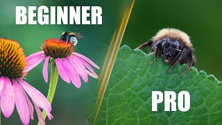 7 Insect Macro Photography Tips Improve in 8 Minutes [upl. by Secor394]