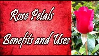 Rose Petals Benefits and Uses [upl. by Normac]