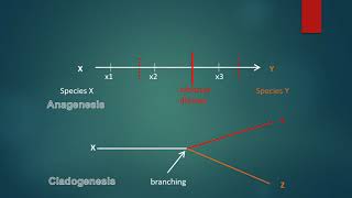 PHYLOGENETICS [upl. by Latreese]