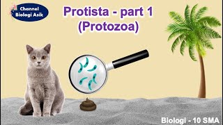 Protista part 1 Protozoa  Biologi kelas 10 SMA [upl. by Ddet]