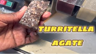 Working with TURRITELLA AGATE it was tough but amazing polishingstones lapidary [upl. by Huang]