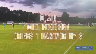 Cribbs vs Hamworthy United  150823  Goals [upl. by Goulder]