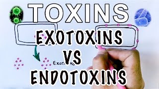 Overview of Toxins  Exotoxins Vs Endotoxins [upl. by Nekal865]