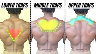 TRAPS WORKOUT Top 5 upper middle and lower traps workout with BARBELL only [upl. by Nedyrb]