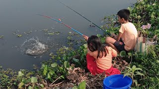 Fishing video  Brother amp Sister hook fishing in village  catching big catfishfishingvideo [upl. by Einahets]