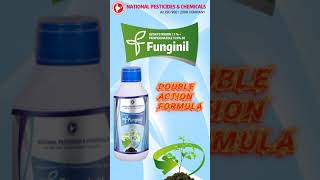 FUNGINIL  Azoxystrobin 71  Propiconazole 119 SE Fungicide [upl. by Juliet]