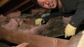 Black Insulation in Attic  How To Home Insulation [upl. by Blanch]