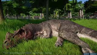 ¿Cómo despertar a un Ceratosaurus  Jurassic World Evolution [upl. by Keith]