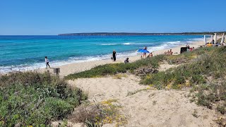 Playa Migjorn A Scenic Walk through Dunes Sands and Stunning Seascapes on Formentera Island 2023 [upl. by Per]