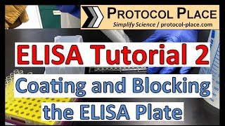 ELISA Tutorial 2 Coating and Blocking the ELISA Plate [upl. by Ardnnaed217]