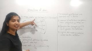 212 Charge to Mass Ratio of Electron [upl. by Crawford]