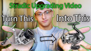 2019 Stradic FL Upgrade to STELLA Bearing UPGRADE [upl. by Kaufman]