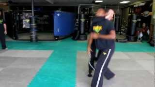 KICKFLICKS  Professor James Cox  Premier Martial Arts High Definition [upl. by Ronnie]