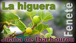 QUE HERMOSO POEMA La higuera JUANA DE IBARBOUROU  Recitado por FENETÉ [upl. by Dannel]