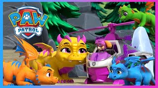 PAW Patrol  PAW Patrols beste Cat Packreddingen en avonturen  Nick Jr Nederlands [upl. by Leroy]