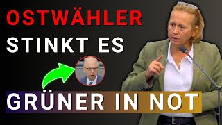 💥Grüner verspottet Ostwähler Beatrix von Storch mit den WORTEN DES JAHRES [upl. by Filippa815]