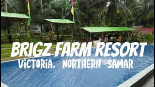 BRIGZ FARM RESORT WITH NATURAL SPRING WATER POOL IN BUENOS AIRES VICTORIA NORTHERN SAMAR [upl. by Nera64]