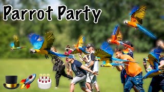 Iago amp Rockets MASSIVE Parrot Party amp Free Flight Day So Many Macaws [upl. by Edholm]