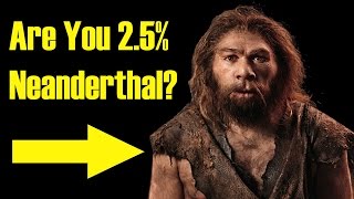 Are You Related to Neanderthals [upl. by Ahcsap]