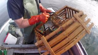 Lobster Fishing In Twillingate Newfoundland [upl. by Acemaj]