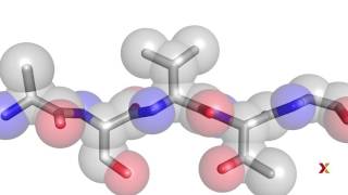 Principles of Biochemistry  Harvardx on edX [upl. by Sidnak151]