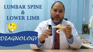 برنامج DIAGNOLOGY الحلقة 3  LOWER LIMB amp LUMBAR SPINE [upl. by Olly]