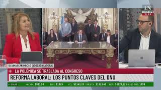 Reforma laboral los puntos claves del DNU El análisis de la abogada laboral Silvina Scarímbolo [upl. by Ammon]