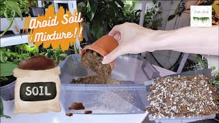 🌱My Aroid Soil Recipe🌱  Easy DIY potting Soil Mixture [upl. by Corbett]