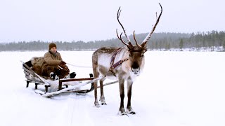 Magical Finland Sleigh Ride  Reindeer Family and Me  BBC Earth [upl. by Zuliram]