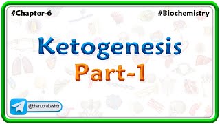 12 Ketogenesis  part  1  Lipid Metabolism [upl. by Yeuh]