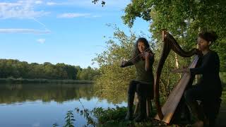 Celtic music quotThe Wild Swanquot Mathide and Héloïse de Jenlis harp and violin [upl. by Oralle]