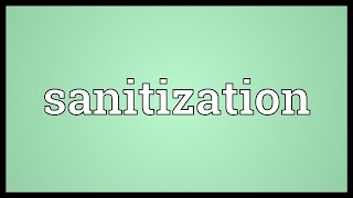 Sanitization Meaning [upl. by Lattonia]