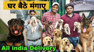 Visiting on Vikas pet shop  Moti bagh [upl. by Schaumberger]