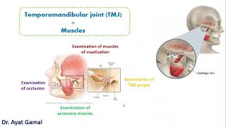 IV TMJ WHAT to examine ampHOW to examine TMJ proper [upl. by Aiak]