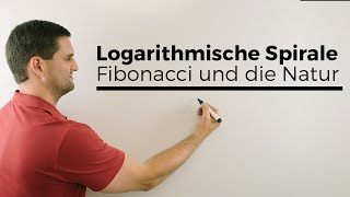 Logarithmische Spirale Fibonacci und die Natur Mathematik im Alltag Mathe by Daniel Jung [upl. by Omle433]