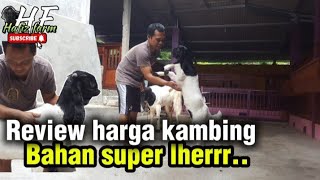 UPDATE HARGA KAMBING ETAWA BAHAN DAN INDUKAN [upl. by Neiluj64]