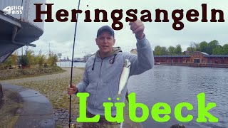 Heringsangeln Lübeck  Auf Heringssuche [upl. by Britteny]